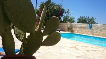 מלון נאו חוריו Prickly Pear מראה חיצוני תמונה